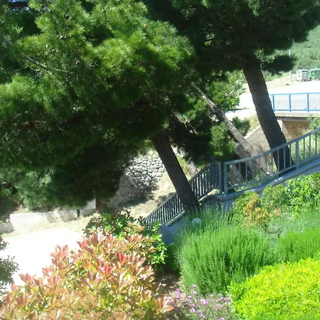 Pecic