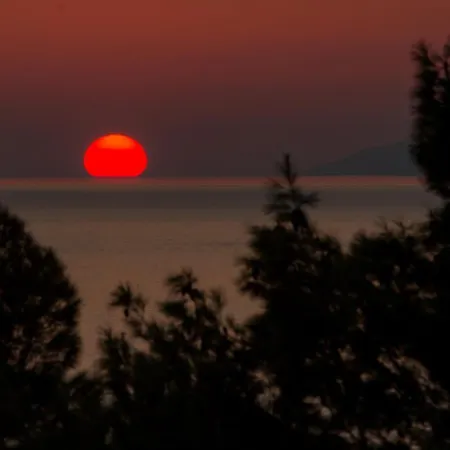 Ξενοδοχείο Pecic 4*